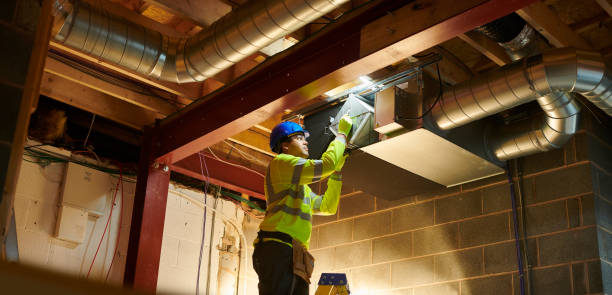 Best Affordable Duct Cleaning Services  in Albion, NE